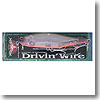 ウィップラッシュファクトリー DRIVIN'WIRE（ドライヴィン・ワイヤ） ＃37 デザートサンライズ