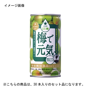 サッポロ（SAPPORO） 梅で元気 缶 【1ケース （190g×30本）】