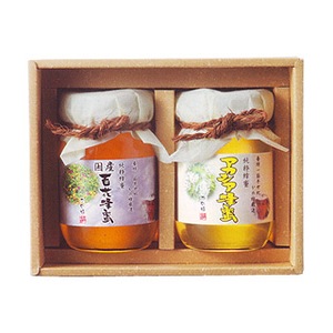 鹿野養蜂園 蜂蜜ギフト（百花・アカシア） （500×2本）