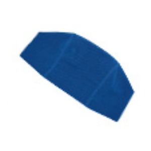 スワンズ(SWANS) メッシュキャップ Ｍ ＢＬ（００４）ブルー SA60