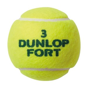 ダンロップ(DUNLOP) ダンロップ・フォート （０４）イエロー DPT-FORTDの画像