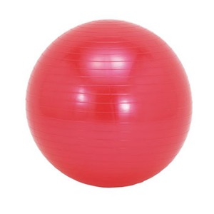 5%OFF ソフタッチ（softouch） エクササイズボール 直径５５ｃｍ・レッド SO-BAL55の画像
