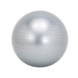 5%OFF ＜ナチュラム＞ ソフタッチ（softouch） エクササイズボール 直径６５ｃｍ・シルバー SO-BAL65画像
